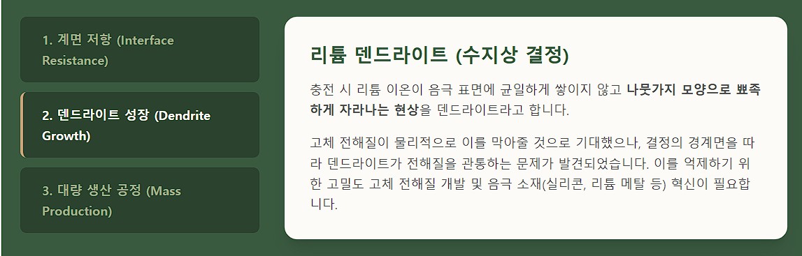 2. 덴드라이트 성장 리튬 덴드라이트 수지상 결정
