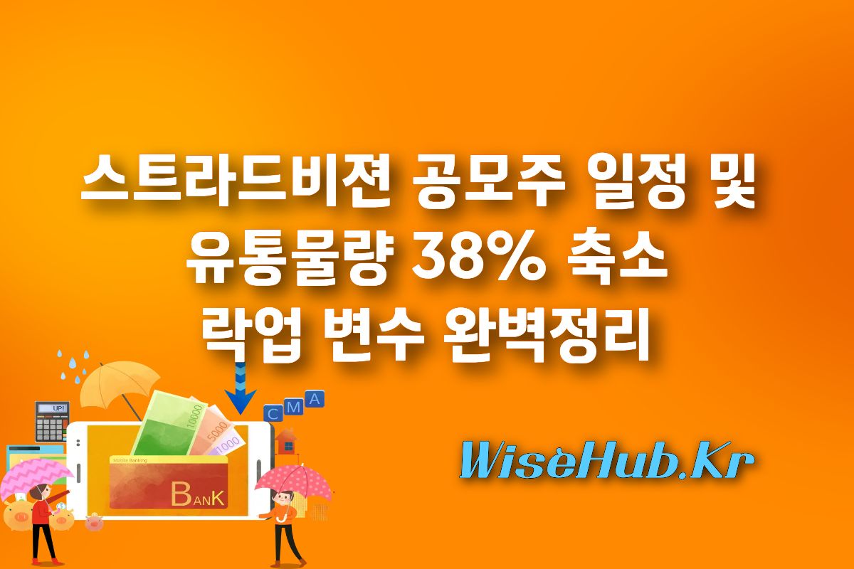 스트라드비젼 공모주 일정 및 유통물량 38% 축소 락업 변수 완벽정리