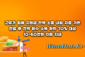고유가 피해 지원금 - 고유가 피해 지원금 소멸 임박! 내일까지 안 쓰면 환수되는 잔액 조회 및 사용처 총정리