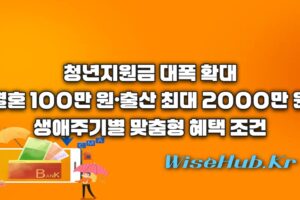 청년지원금 - 청년지원금 신청 방법 및 2027년 결혼 출산 지원금 총정리