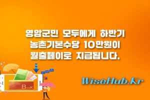 영암군 농촌기본수당 - 영암군 농촌기본수당 하반기 지급 신청 방법, 대상 및 월출페이 사용처 총정리