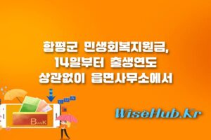 함평군 민생회복지원금 - 함평군 민생회복지원금 14일부터 출생연도 관계없이 전면 신청 접수